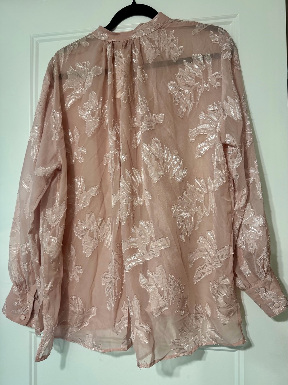 Sheer Floral Embroidered Long-Sleeve Blouse - Blush Pink